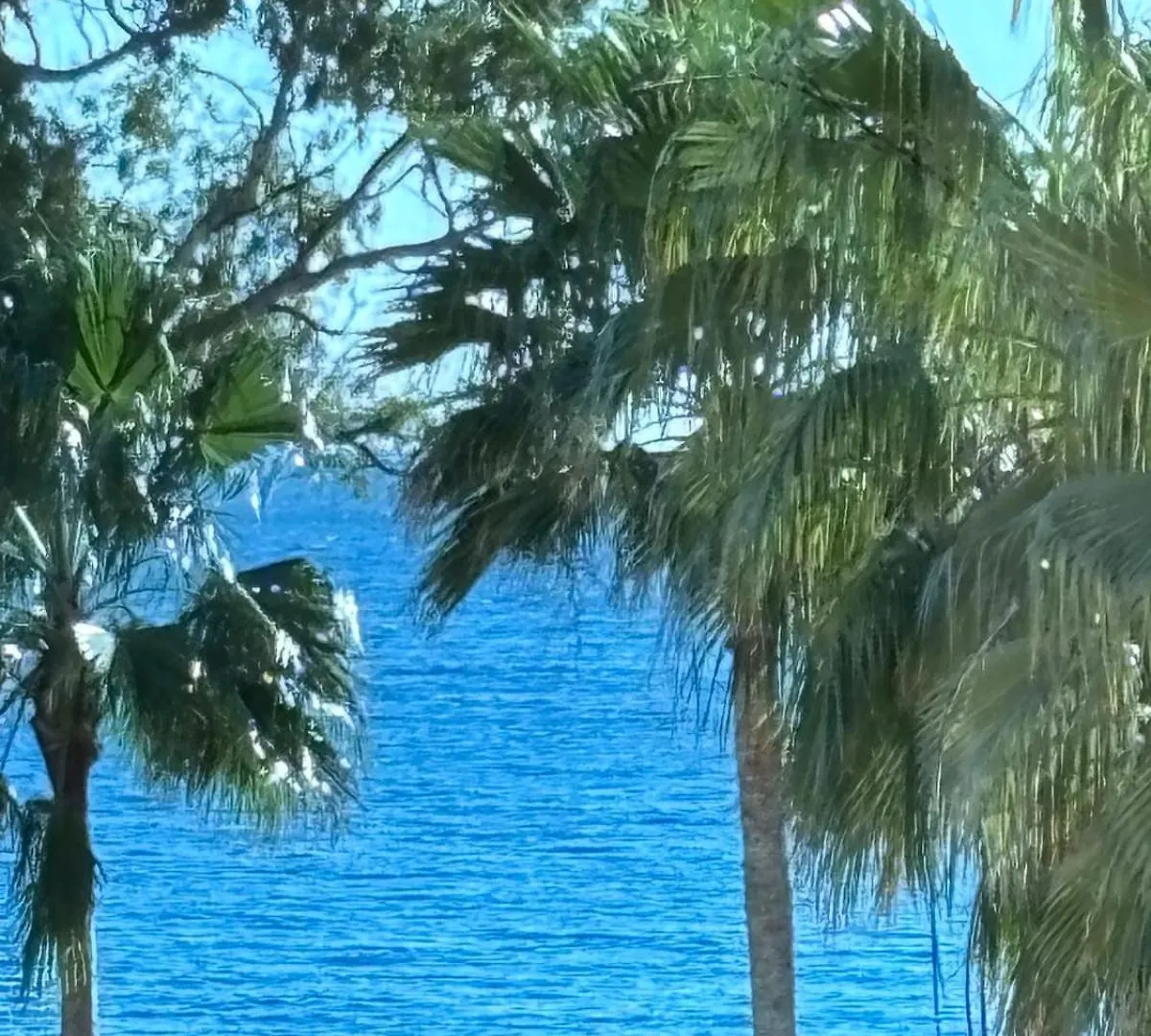 5 Stars Beachfront Paradise - Seaview, Always Heated Pool, Gym, Sauna! Estepona 0*,  Hiszpania